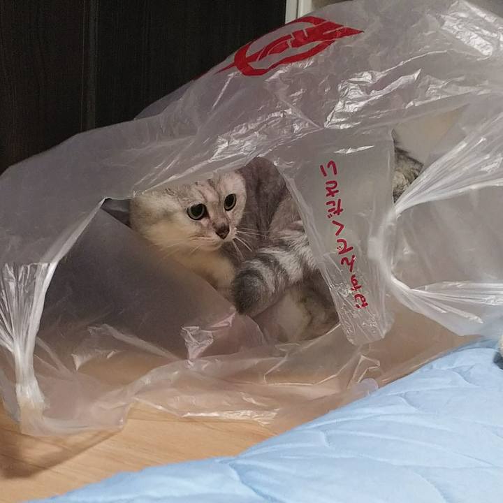 D07c040a 7fe1 482e b138 5e77257e8d04 1515074541469