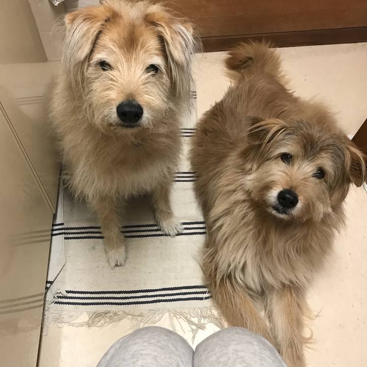 D07c096c 6edc 49b8 ac3b 5d39d6f8a8b4 1553565694429