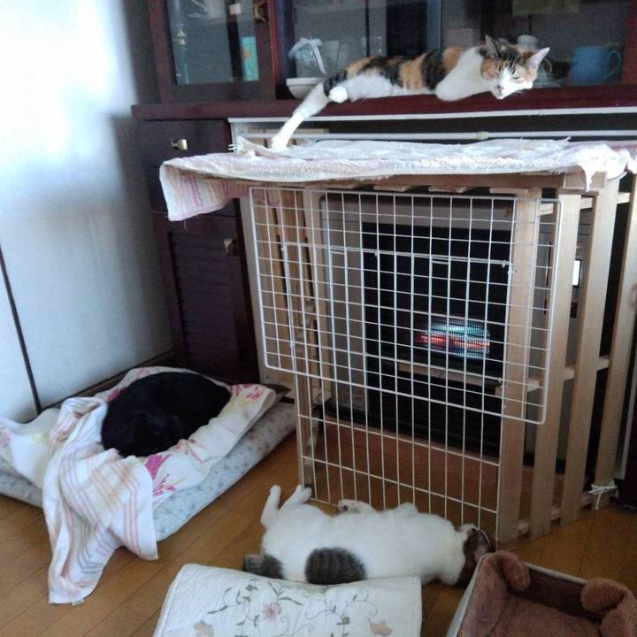 D07c09c6 06a6 4bd1 8d7d 8f30e8161c8d 1674865951311