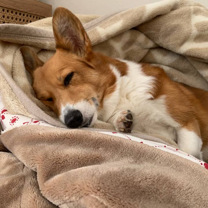 D07c268c eafc 4fa2 bfcd 2482b78d5933 1669007716890