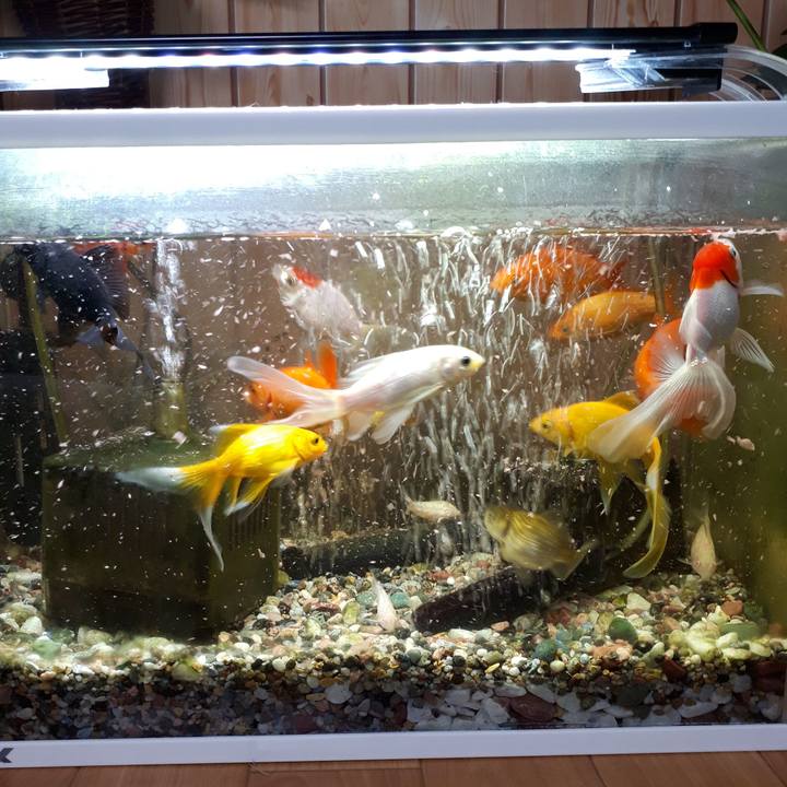 D07c438d 390c 419c b47b e772599760f3 1519508442477