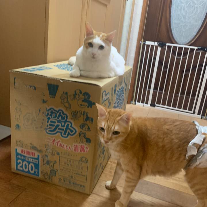 D07c62ee beff 4b4b bde6 57f5aac5f8b9 1665741679125