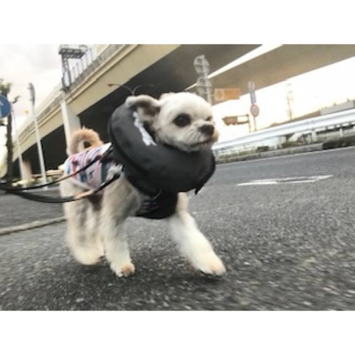 D07ca4d4 6b2c 4226 a839 ca073a1d272d 1573217207807