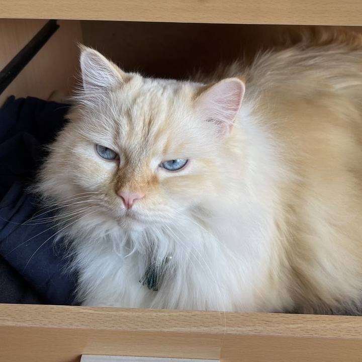 D07cbc42 2742 4455 996b 412c06f6125d 1737413854101