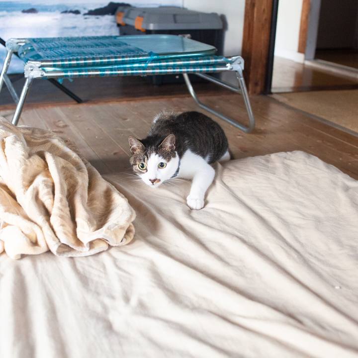 D07cc6fc 3484 4b7b 87cc e6b5d3397653 1571274152298