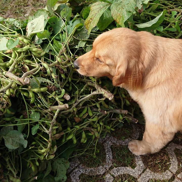 D07ceb50 ede9 4931 8029 3ebf6f706df3 1539396843237