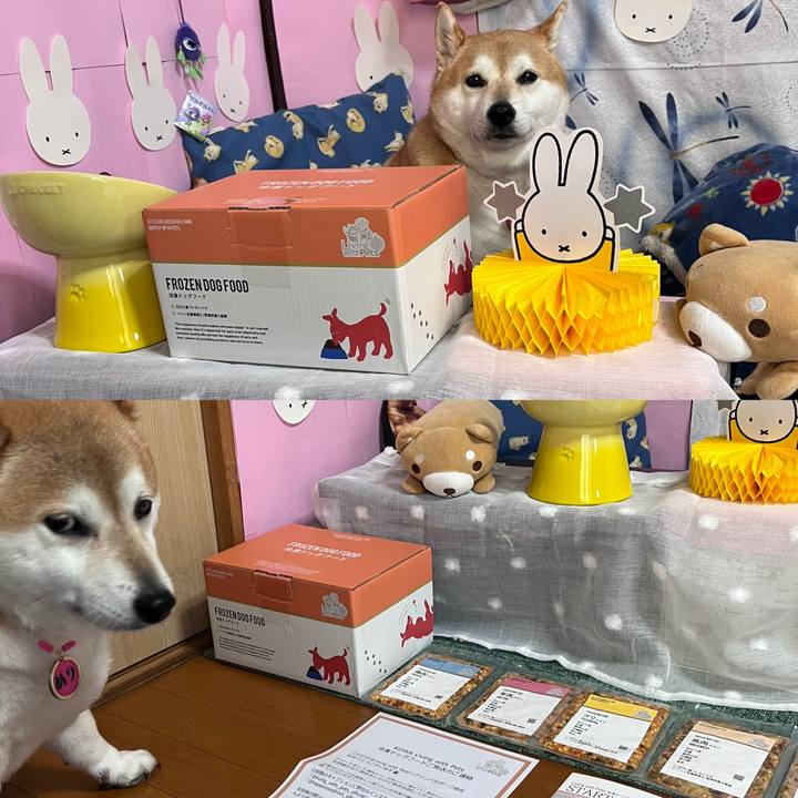 D07cfd12 483d 45ea 8bff 5161838bed16 1674107418046