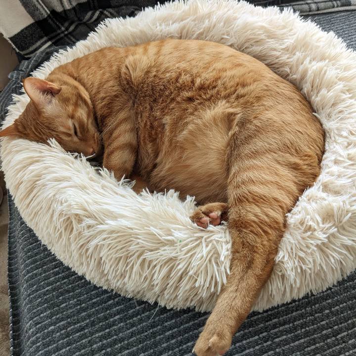 D07d0a3d bd2c 4d07 a7d2 e35ff6006742 1674271598027