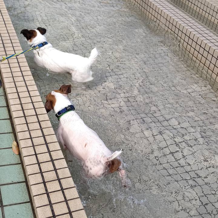 D07d12c9 2176 4d7c 8a76 b4f60ef8eeb3 1678608808733