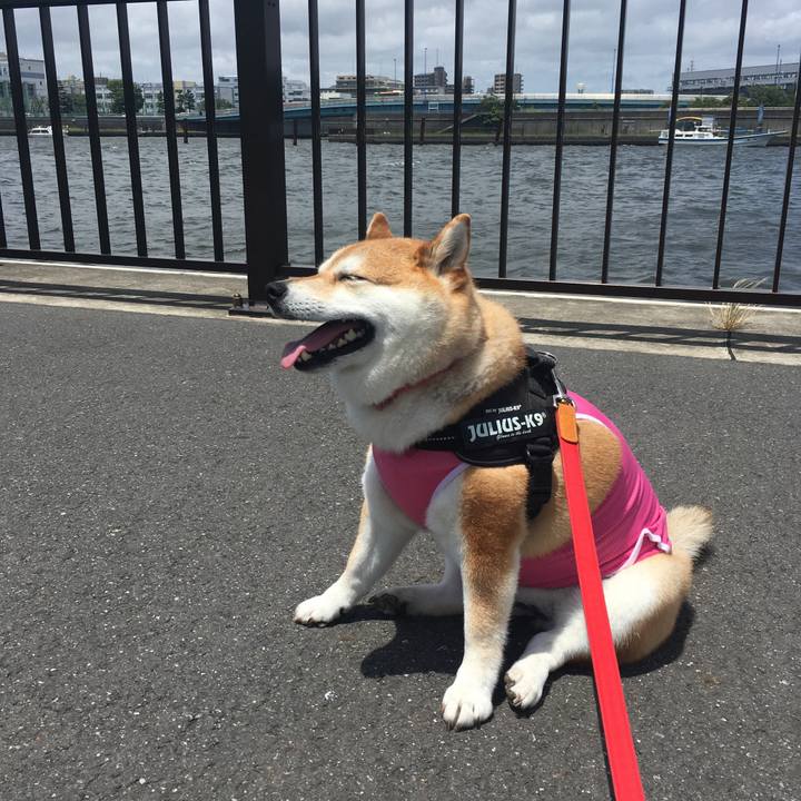 D07d1c56 6a90 45b2 8567 de6f9070a33c 1591848056009