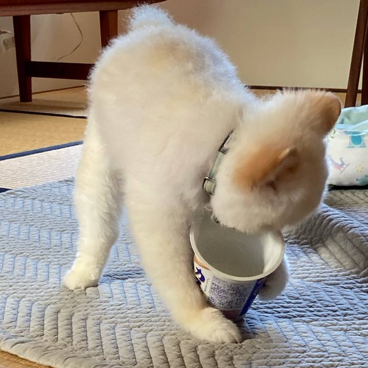 D07d5a3b 3969 4f49 a91d 2d7d5600d36c 1630887572329