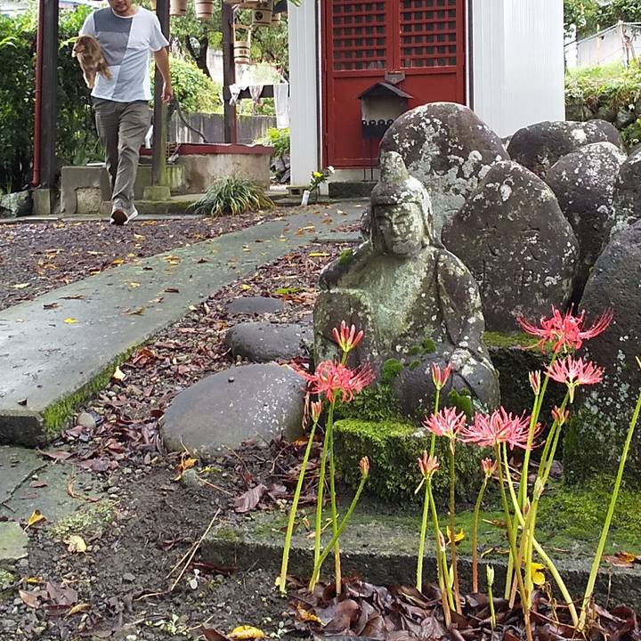 D07d73a8 b5ff 4704 a578 71b25c382211 1569210202324