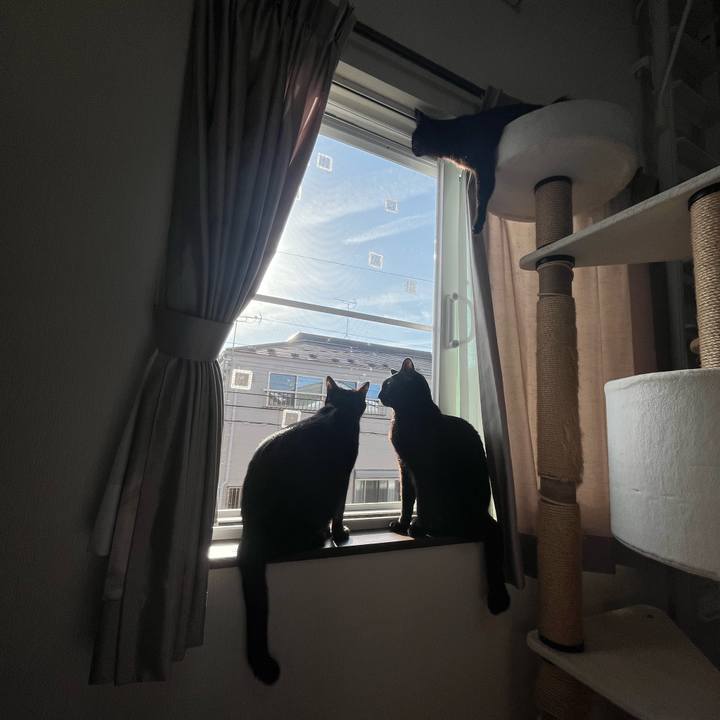 D07d9229 e3f0 4af4 8608 50ba427d544a 1708387668492