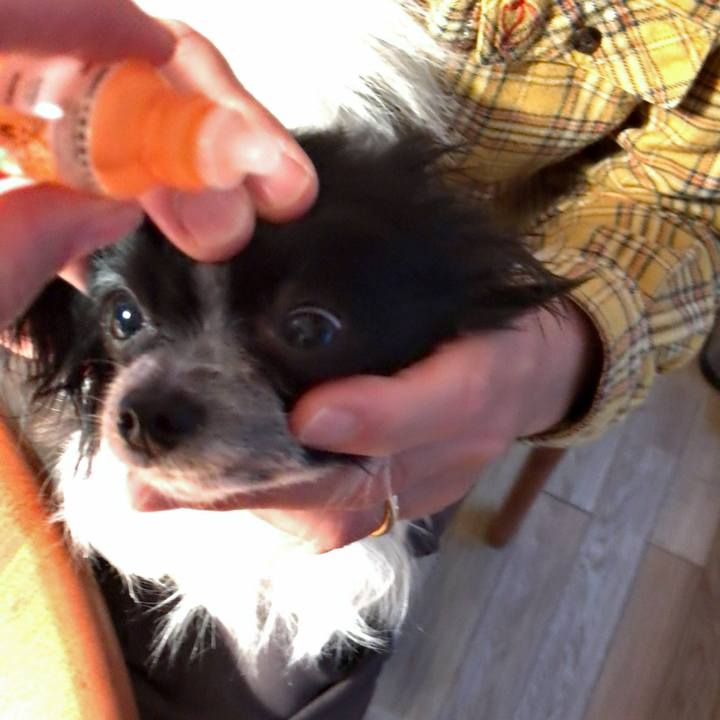 D07db4d1 85ae 4d65 8d7d 067dbfe82012 1513720819718