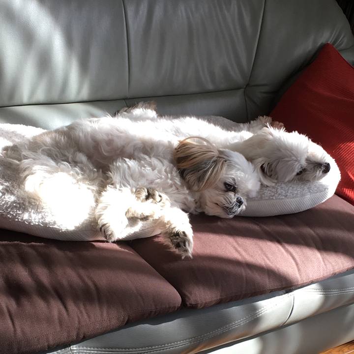 D07dd395 dd0f 4c9e a82d 0bebc7250310 1605334399508