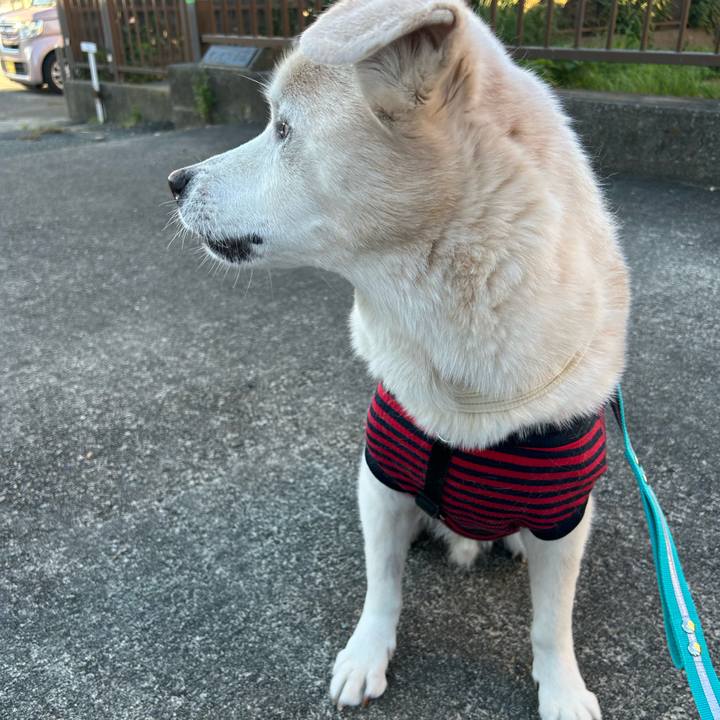 D07dd3f4 6f3d 425a 84ab 8f284788998f 1761604861837