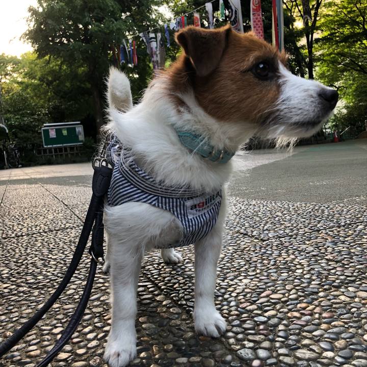 D07ddeef b503 4ec9 b251 2b0a95ac7b16 1525556176178