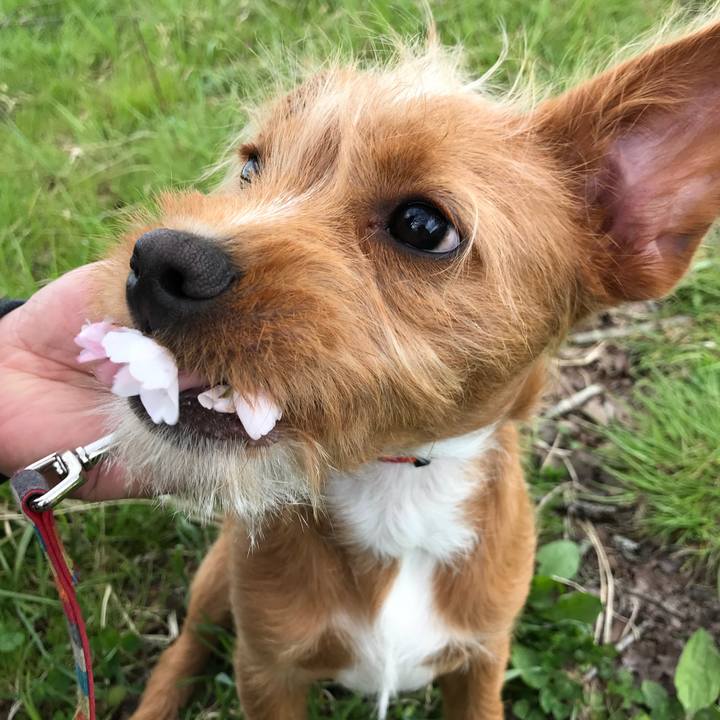 D07e0da5 987f 4945 8528 fb6049183a53 1523878169627