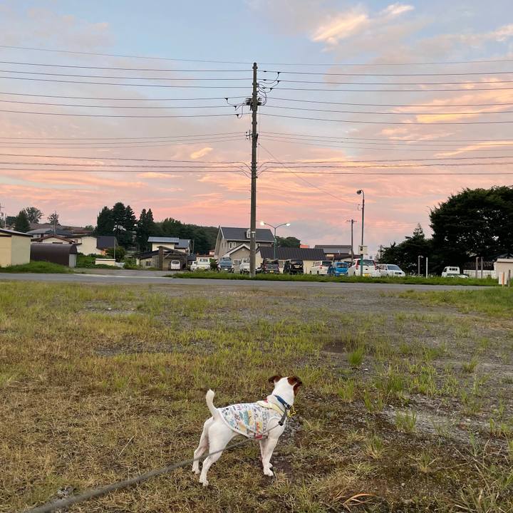 D07e169f ee24 400c 937e 9a8a2e46fcc0 1627298233086