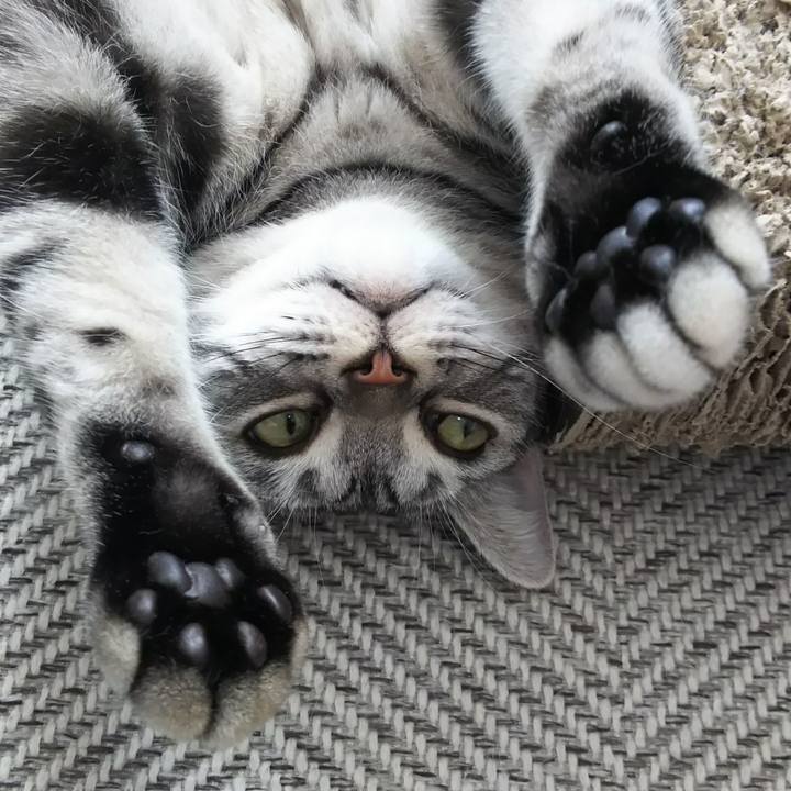 D07e2c29 c4a5 4e61 a252 d882ee2f24b0 1606657467904