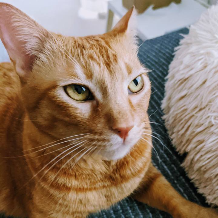 D07e667b b6ff 4187 9440 37fde6b75e8b 1633746008203