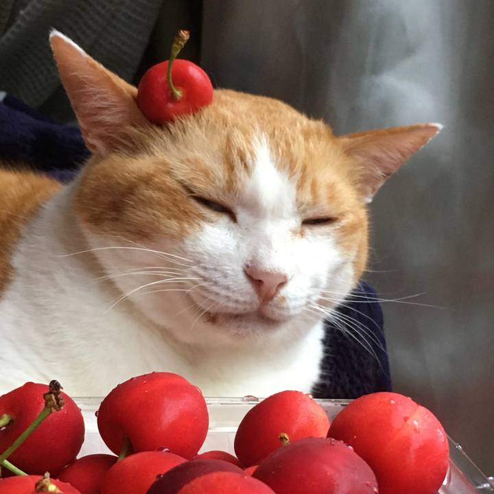 D07e6c9b 0216 4663 9f43 4884eec51458 1594189902940