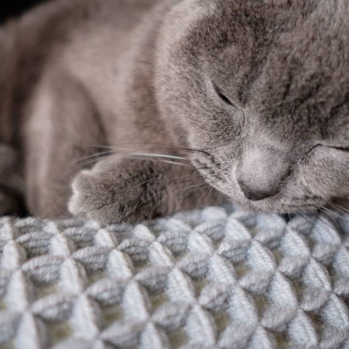 D07ea2cb e805 44d1 9edb 00369ad68b08 1671843279006