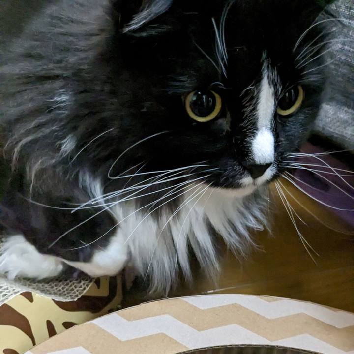 D07ea67a 94db 483a a4c5 5b943638e485 1682169334162