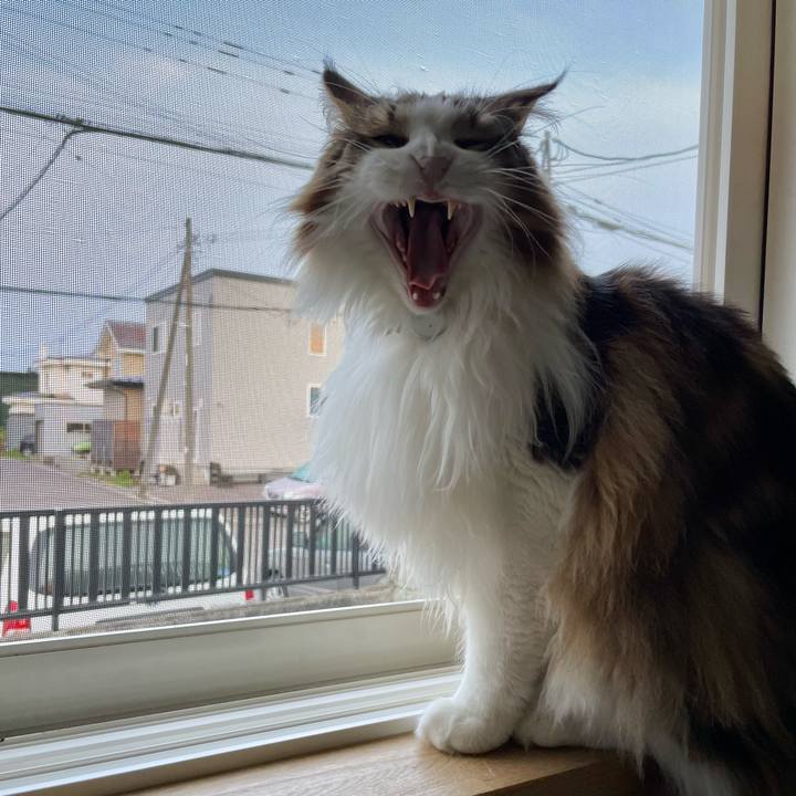 D07ec37b 0598 4f89 a279 8013b79f5b84 1683144488680