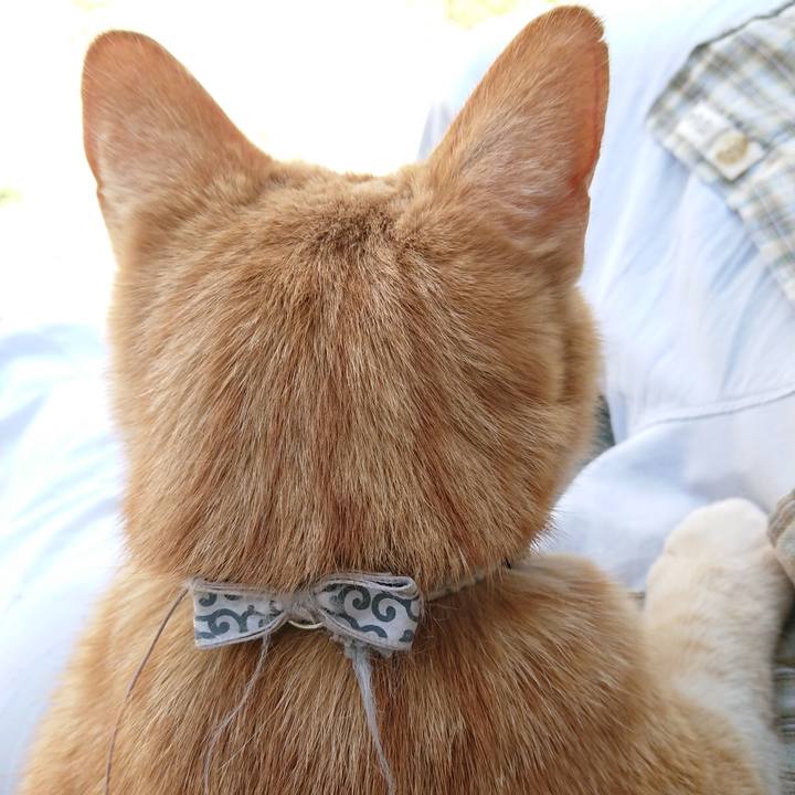 D07eec2f 9238 432e 967b 18760b16575d 1588565618655