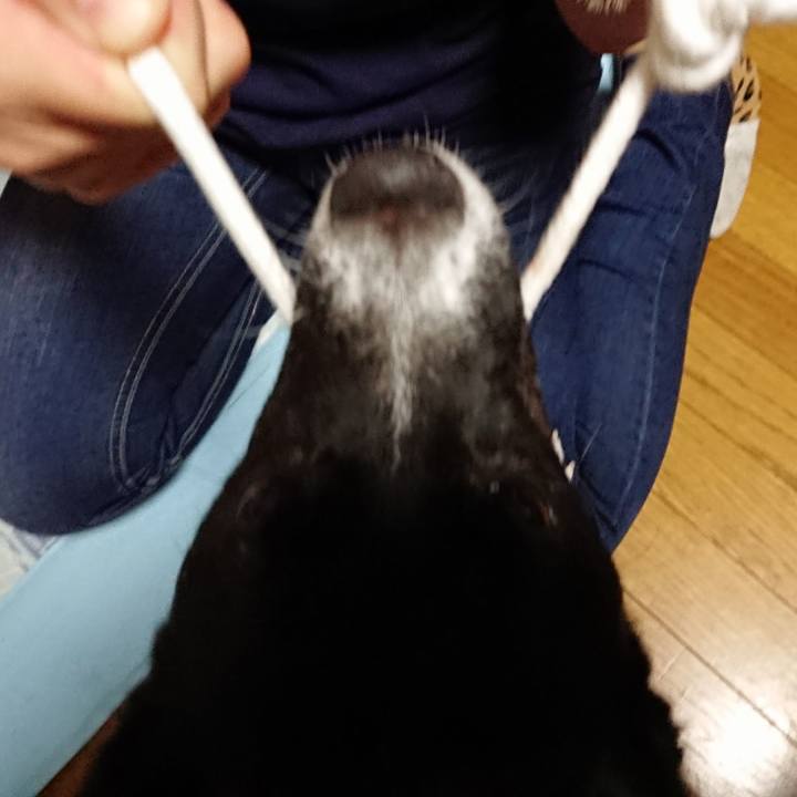 D07f011b 124c 428c 8b42 969c11c01b7e 1508587051953