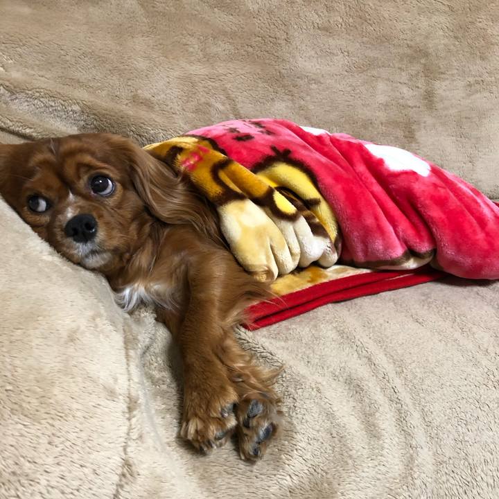 D07f0b41 ccc7 48c6 9e44 6b5ae383ad6c 1578263207136