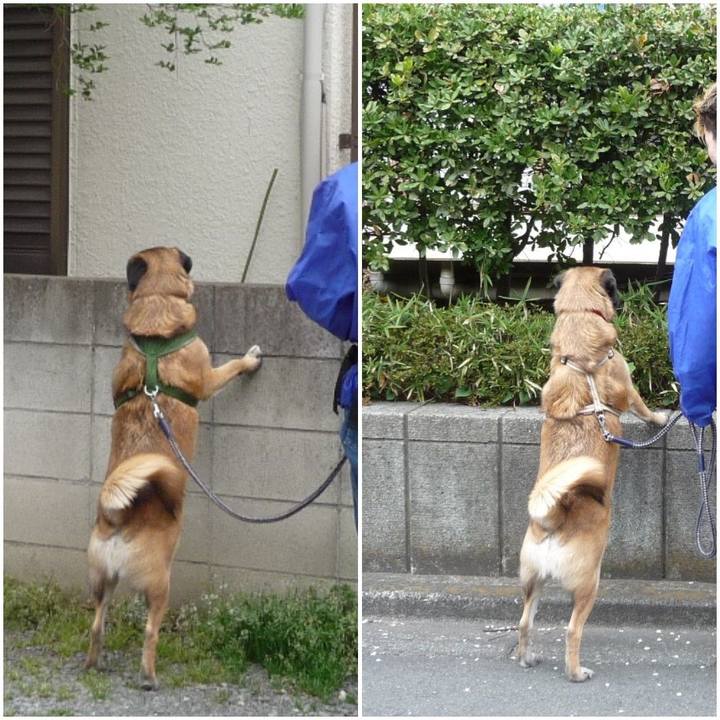 D07f307b 1159 4a97 9176 ac312ad9eaa9 1576819760520