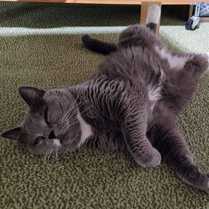 D07f736a 46e4 4c66 9f2b 57b15aac9ab7 1726752535333