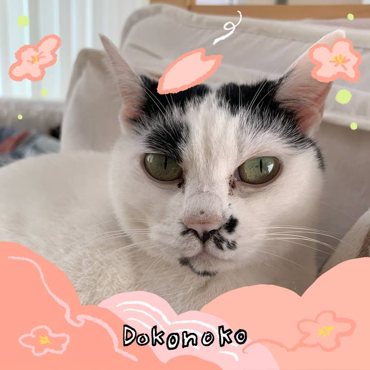 D07f7f39 1e2f 41ef 8fbb 71c7b5eabb2f 1775867935469