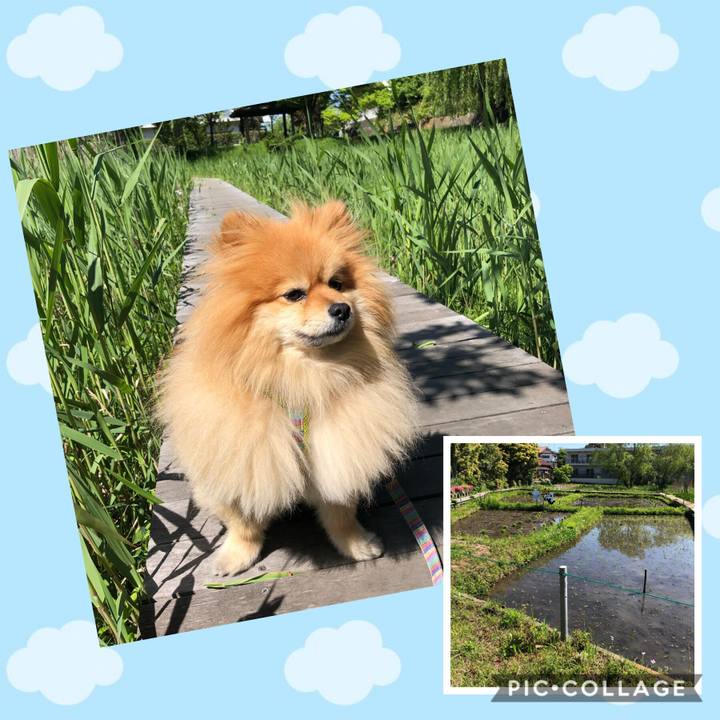 D07f87ea e4fc 4a9a 894e e3c65a4d15bb 1557277470690