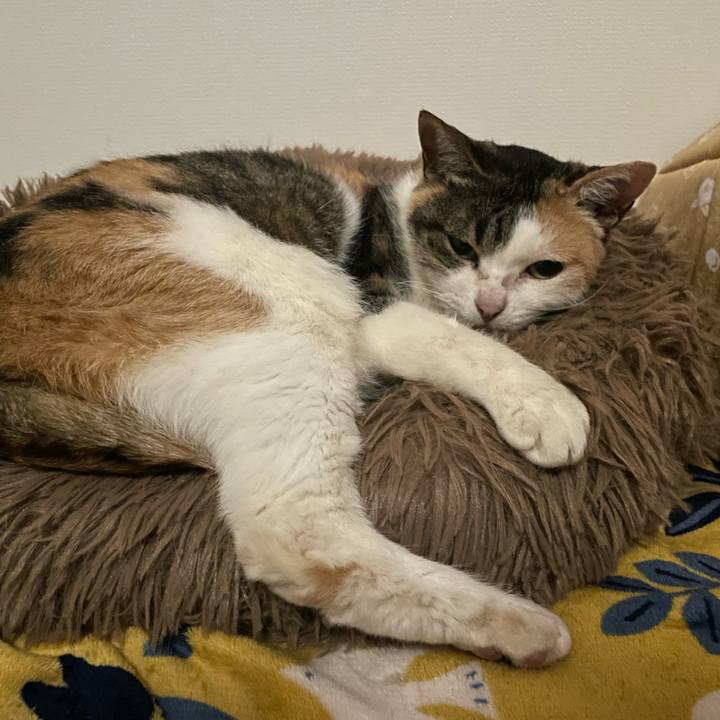 D07fad12 e259 4de3 a111 945ea0f9d657 1703770161449