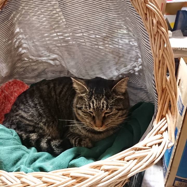 D080076f 020e 4c26 aac7 baf07c919f4d 1641038826273