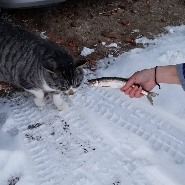 D0800c30 3fc6 44ab 9c64 1fbc12907ac0 1609161082044