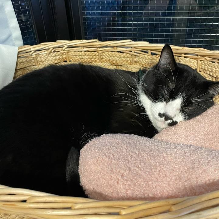 D0805ee0 6e3e 4f4e a6df 15593d1bbec0 1703058910998