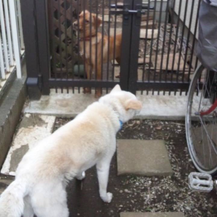 D08084a6 9deb 4c3e 82e0 447055676236 1523931546744