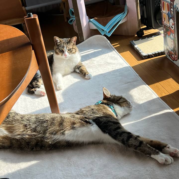 D080dc4f 773d 4f21 b178 1920c47a2a21 1744871347585