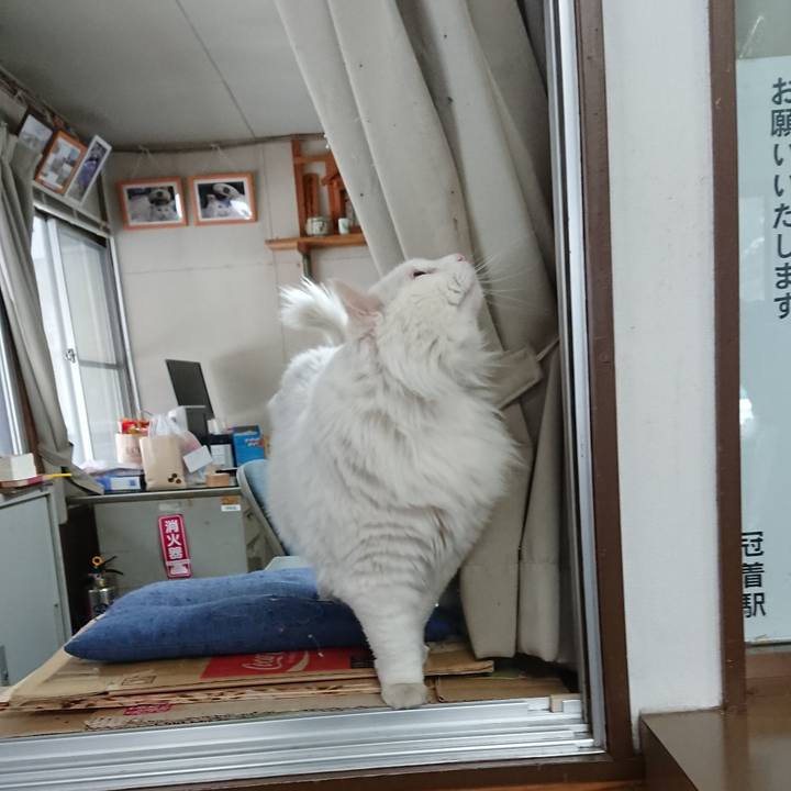 D080f6a2 df6c 4416 846a 52cc80d35b14 1521671206983