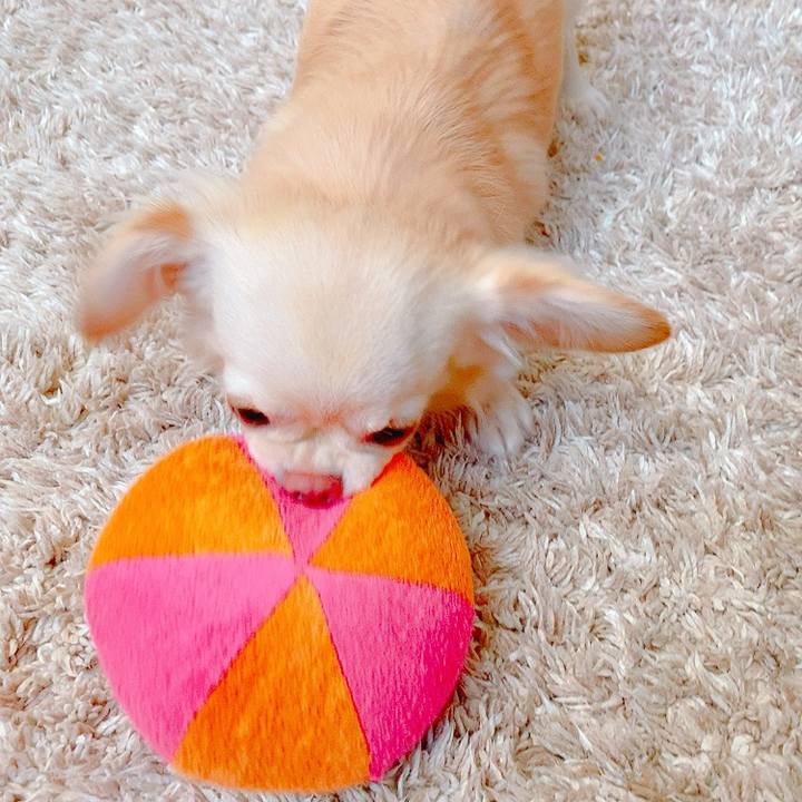 D0817540 150a 4ddd ac28 471a59f1d095 1633951578615