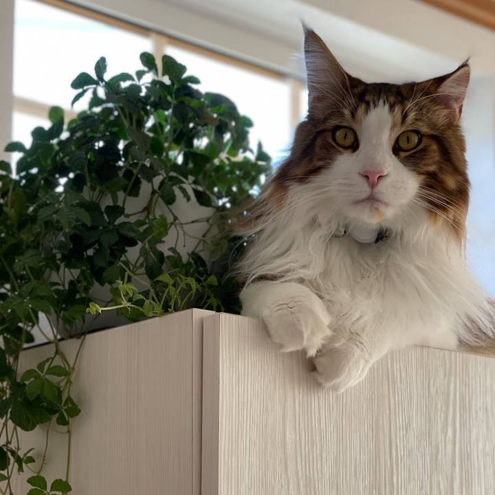 D081866a b0ab 4e6e ba3c 7b301c523a65 1650687476698