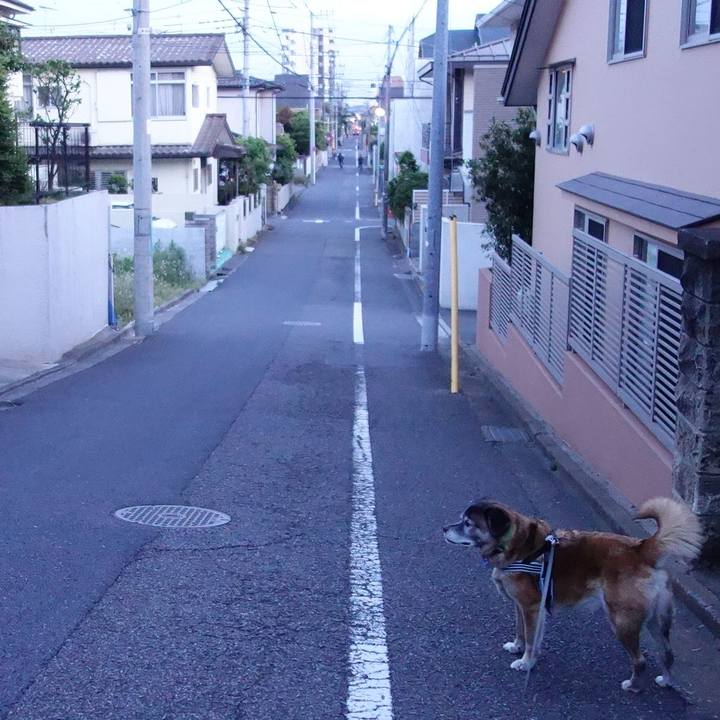 D0819f20 11b6 4fb5 a158 d98996932e10 1526812426696