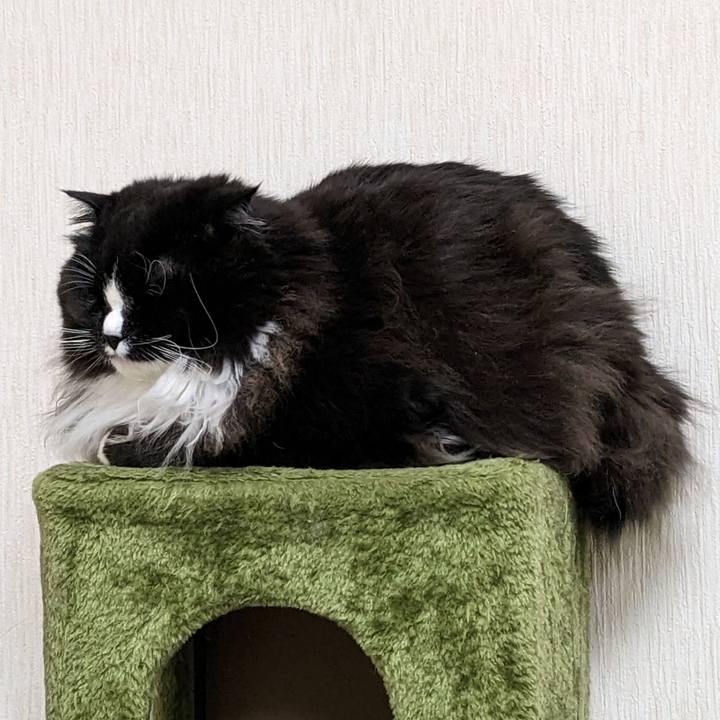 D081af1a 1793 4777 9317 fa35e9067277 1677402678906