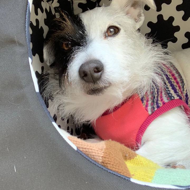 D081d9aa c1b4 4433 bc3e de1394714d97 1548640570543