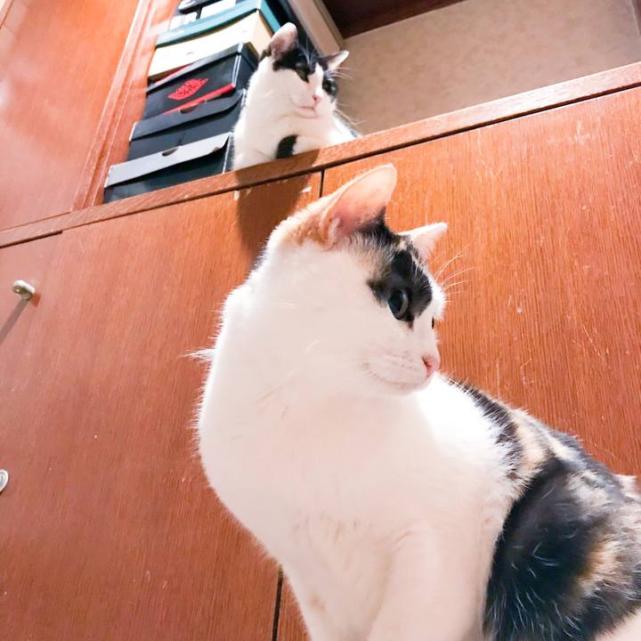 D081df58 4b06 4e0e a3c5 22df5999dd89 1520779618692