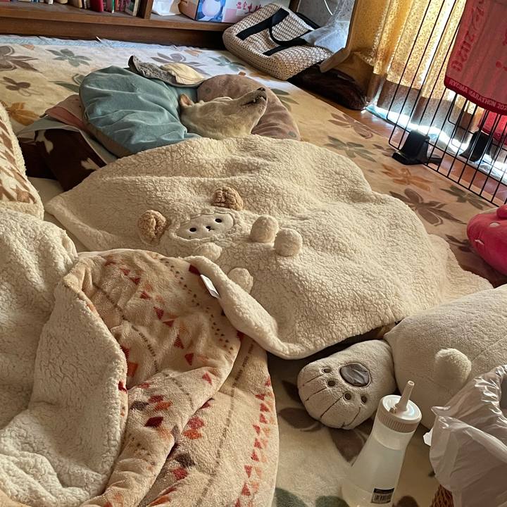 D081e4db 99be 499c bf8a 4ec326805e4d 1678238863588